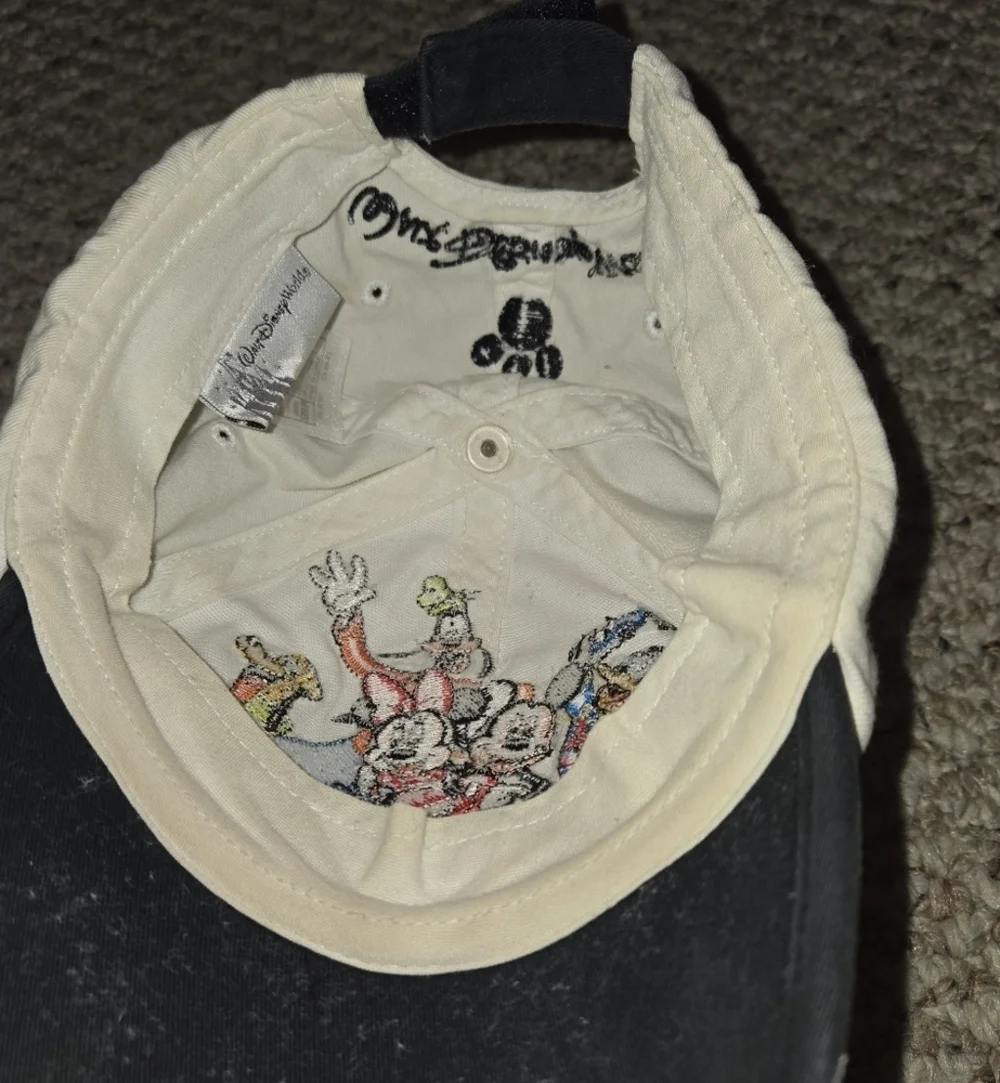 Walt Disney World Child Hat Bundle, Mickey, Winnie the Pooh